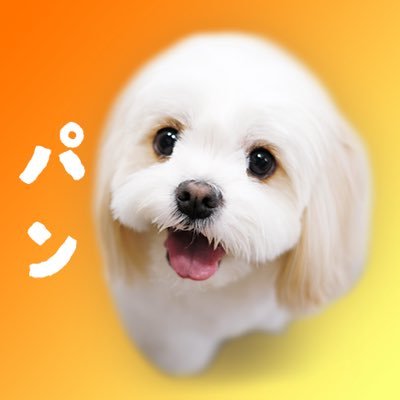 ☆Angel☆様オーダーページ　おとぎの国の猫と仲間たち♡ワンハンドル　2点 尾道市立美術館 on X: 