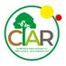 ciar_damar congo (@ciar_damar) Twitter profile photo ciar_damar congo (@ciar_damar) Twitter profile photo