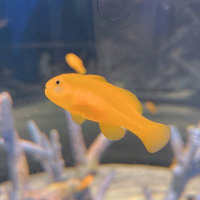 船町さんのプロフィール画像