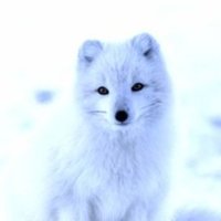 りつ (@5vcfhq) 's Twitter Profile