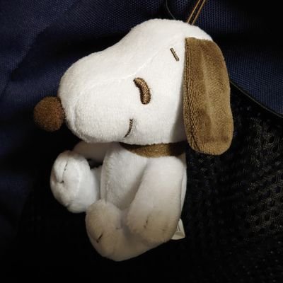 𝙮𝙤-𝙨𝙪𝙠𝙚.™さんのプロフィール画像