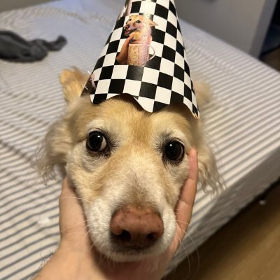 marpegonca's profile picture. 