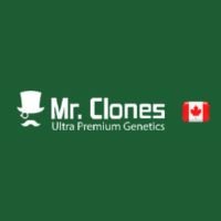 From our garden to yours, every clone tells a unique story.
Canada's Best Cannabis Clones