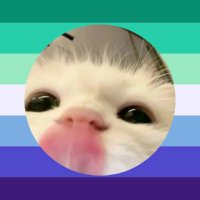 Femyboo :3 (@femyboo_) 's Twitter Profile