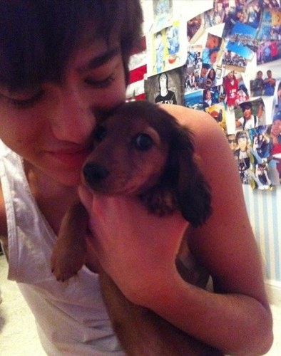 jessie_acorn's profile picture. Джесси Акорн(Желудь).Люблю кушать,гадить,фанатов,а еще любожаю своего @RomaTweetcorn.А гадить в его тапки мм...