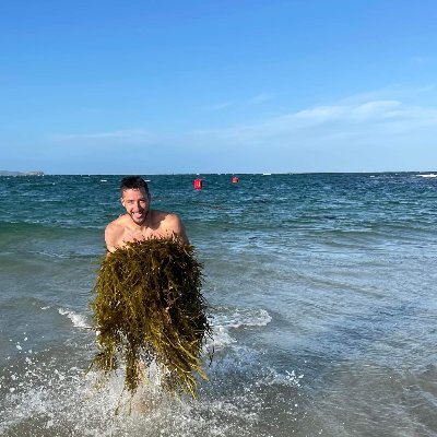 formosa360's profile picture. 