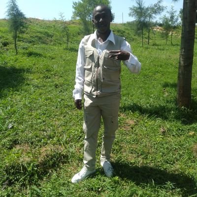 DavidWakut90231's profile picture. am a professional tour guide