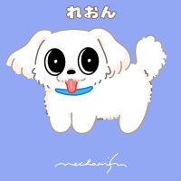 みさ (@reon1120) 's Twitter Profile