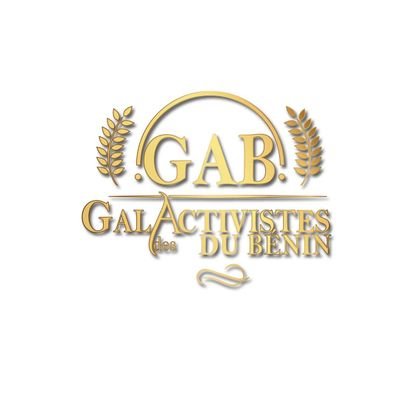Le Gala des Activistes du Bénin est une initiative pour célébrer et honorer les efforts extraordinaires des activistes béninois.