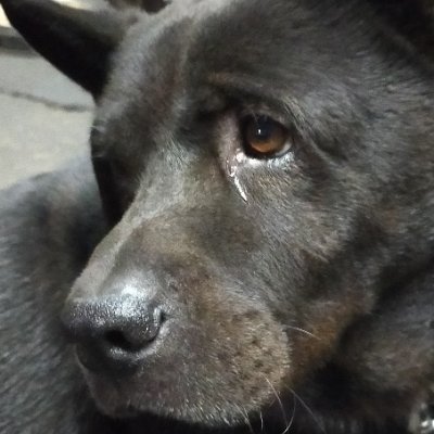 LiQun88041's profile picture. Hi !