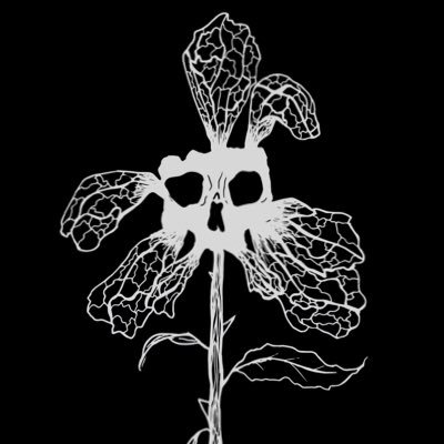 M_K_Teague's profile picture. Digital Artist ☠️