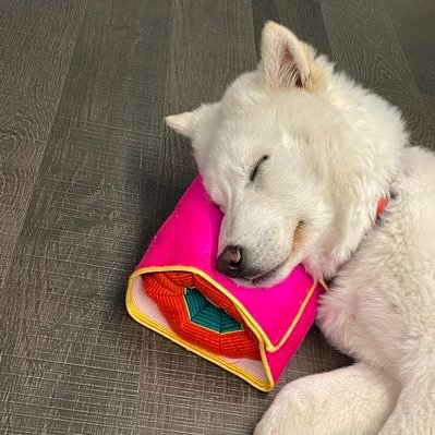 somedaylolo's profile picture. 투자 고수이고 싶은 팔랑귀🥹 암거나조잘댐😵‍💫