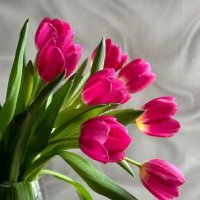 Isabel M.. 🍀🍀 (@isabelm16771849) 's Twitter Profile