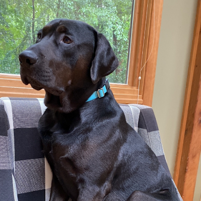 NewWorldMan22's profile picture.