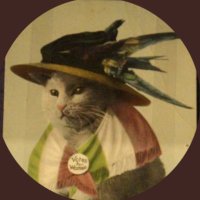 Lorelei 🌕🧙🏻♀️🕸🍄 (@hatpinwoman) 's Twitter Profile Photo Lorelei 🌕🧙🏻♀️🕸🍄 (@hatpinwoman) 's Twitter Profile Photo