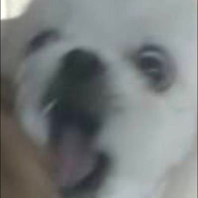 EndDei's profile picture. 気づけば🎮スマホゲーム🎮が生活の一部。好きな子はお迎えしたい！お金が溶ける〜 #原神 #フリーナ #アルレッキーノ #楓原万葉 
頭が良くなりたい #薬剤師 #7年目 💊です