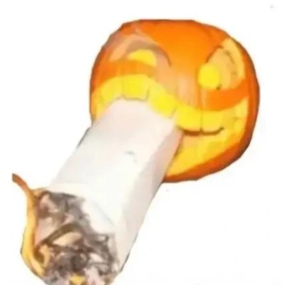 Estrion_yt's profile picture. 