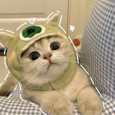 sijeuni💚

Penyuka 23 Bujang NCT ❣