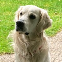 Mike (@mwally_mike) 's Twitter Profile Photo