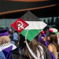 🇵🇸听拳赏鸟👷 ⚔️ {🇨🇳🤝🇺🇸} (@libsblyat) 's Twitter Profile