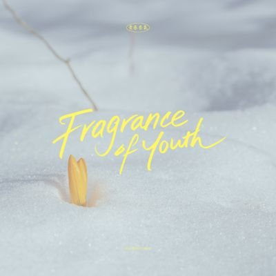 슬램덩크 서태웅 x 송태섭 cp only 플라워샵
탱태 데이 2024/11/07(목)와 2024/11/17(일) 개최 예정.
문의는 모두 1107flowershop@gmail.com 로 받습니다.