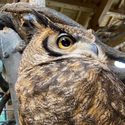 comi83515241's profile picture. 🌸 元n=1