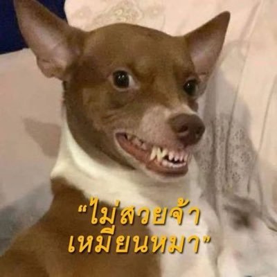 pjnnnnn_'s profile picture. fan account