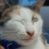 Arif (@cidut_) 's Twitter Profile Photo