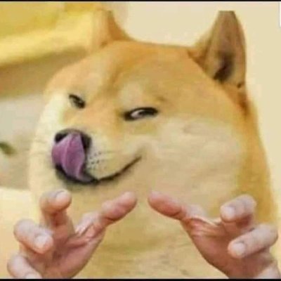 carmensbart's profile picture. seriöser Twitter-User