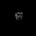 Plateado (@plata_fake) Twitter profile photo Plateado (@plata_fake) Twitter profile photo