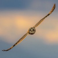 George Giaglis (@giaglis) 's Twitter Profile