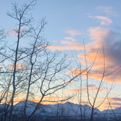 BrownHannula's profile picture. It's all about the books: writing and reading in Alaska.