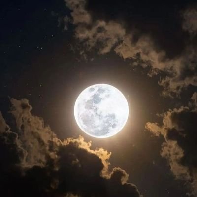 MHbash47354's profile picture. 