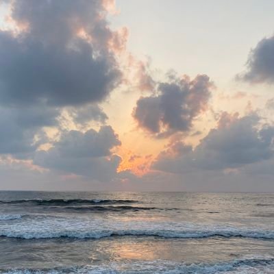 coding__paanda's profile picture. here to rant 👩🏽‍💻 Chennai 🔁 Bangalore