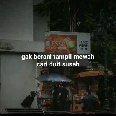 alom356577's profile picture. 