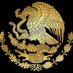 Defiende Mexico (@defiende_mexico) Twitter profile photo Defiende Mexico (@defiende_mexico) Twitter profile photo