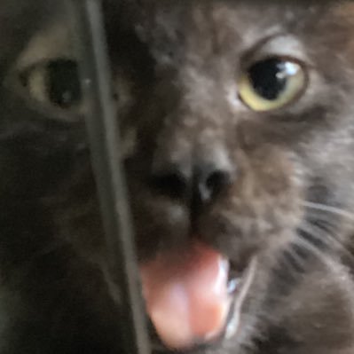 b4byg0rL_'s profile picture. c’est la vie — hoops & dangles