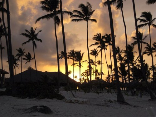 alioop1978's profile picture. 