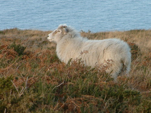 tonygussin's profile picture. Reporter for the North Devon Gazette. Views expressed are my own and not those of the Gazette or Archant Ltd.