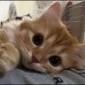 linyida10's profile picture. 