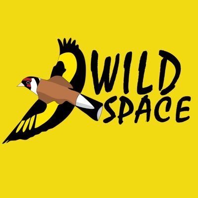 Making wildlife accessible for all. 🦆
Guides • Videos • Workshops & Events • Education