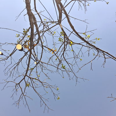 thích call sục
