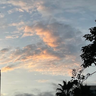 shine123ls's profile picture. zz