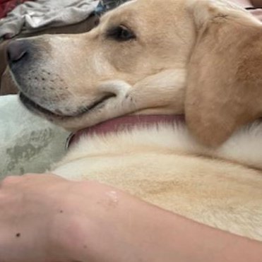 i_love92944's profile picture. 