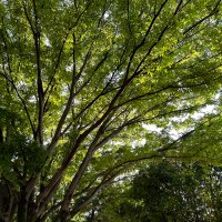 あかさたな (@hoj2qrxhdp21425) Twitter profile photo