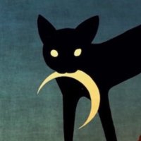 paul (@paul_burlage) 's Twitter Profile