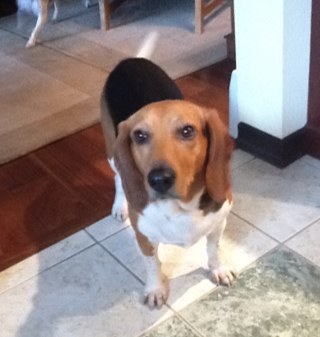 mjmgrammy's profile picture. 