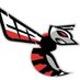 Honesdale Lady Hornets Basketball (@honesdalebball) Twitter profile photo