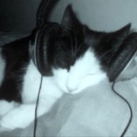mar (@wooyoluvz) 's Twitter Profile Photo