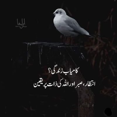 SonwarTigers's profile picture. Social activist